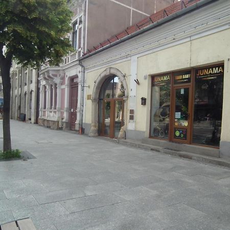 Apartament Bbb48 Kaloşvar Dış mekan fotoğraf
