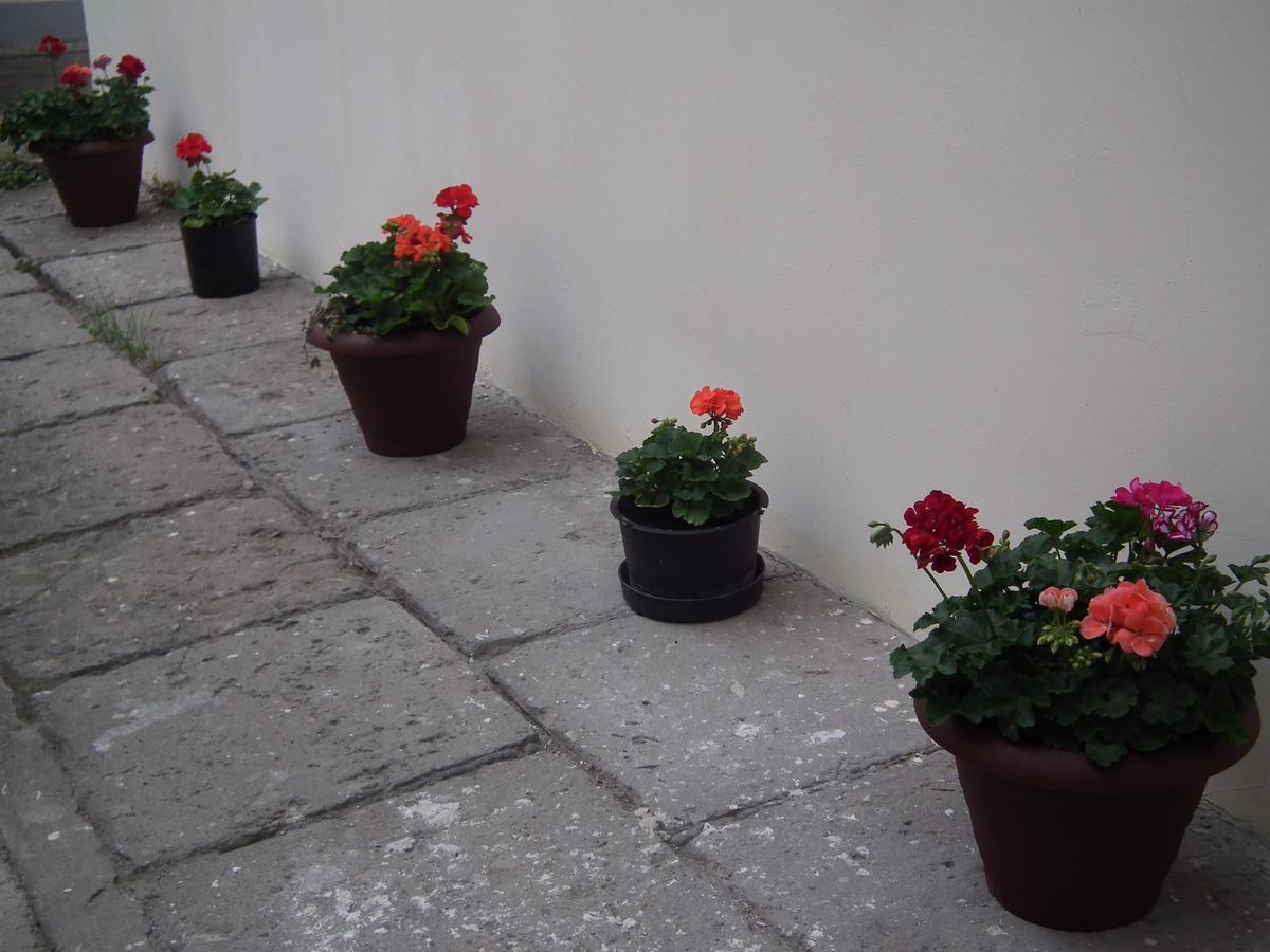 Apartament Bbb48 Kaloşvar Dış mekan fotoğraf